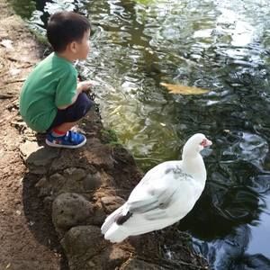 Meet your Posher, Alyson